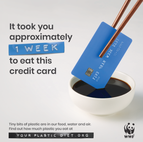 Plastic ingestion by humans equates to eating a credit card a week